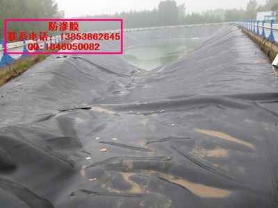 专业生产土工膜(污水处理池防渗。人工湖防水)_建筑材料栏目