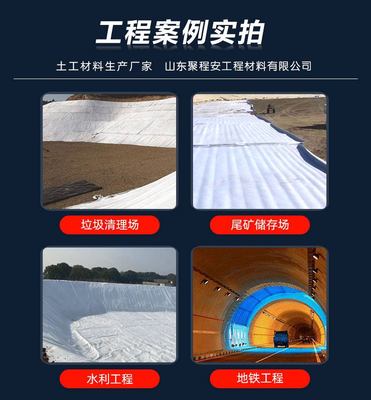 长丝针刺非织造复合土工膜两布一膜 600g景观湖人工湖防水土工布